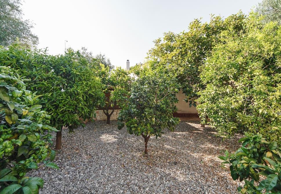 Antico Ulivo Bed & Breakfast Monopoli